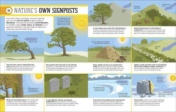 Survival for Beginners