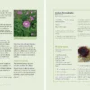 Foraging For Edible Wild Plants