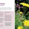 Foraging For Edible Wild Plants