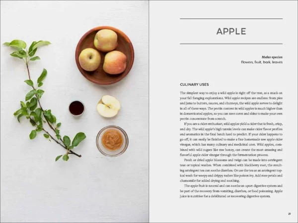 Urban Foraging: Find Gather And Cook 50 Wild Plants