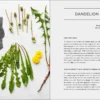 Urban Foraging: Find Gather And Cook 50 Wild Plants