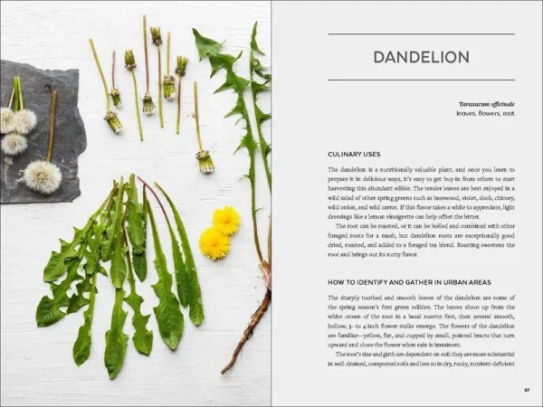 Urban Foraging: Find Gather And Cook 50 Wild Plants