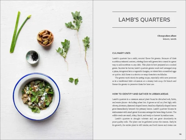 Urban Foraging: Find Gather And Cook 50 Wild Plants