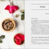 Urban Foraging: Find Gather And Cook 50 Wild Plants