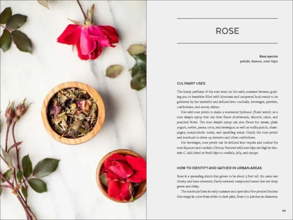 Urban Foraging: Find Gather And Cook 50 Wild Plants