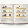 FIRE: THE COMPLETE GUIDE FOR HOME HEARTH CAMPING & SURVIVAL
