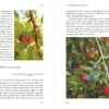 Foragers Calendar