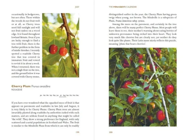 Foragers Calendar