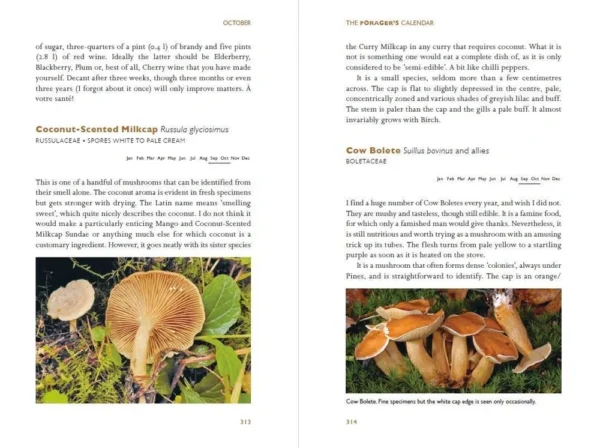 Foragers Calendar