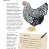 HEN KEEPING