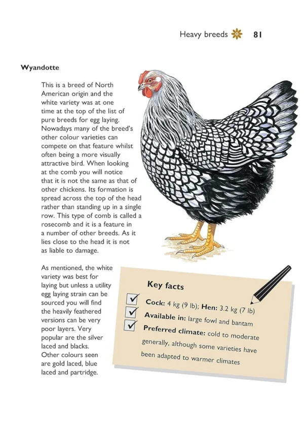 HEN KEEPING